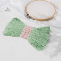 Набор ниток мулине №966, 8 &plusmn; 1 м, 6 шт, цвет нежно-зелёный