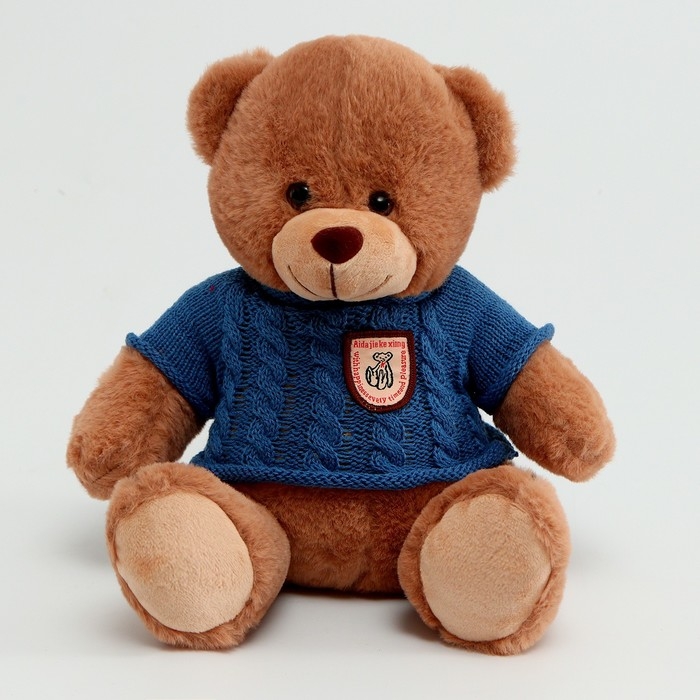 Мягкая игрушка &laquo;Медведь&raquo; в свитере, 25 см, цвет МИКС