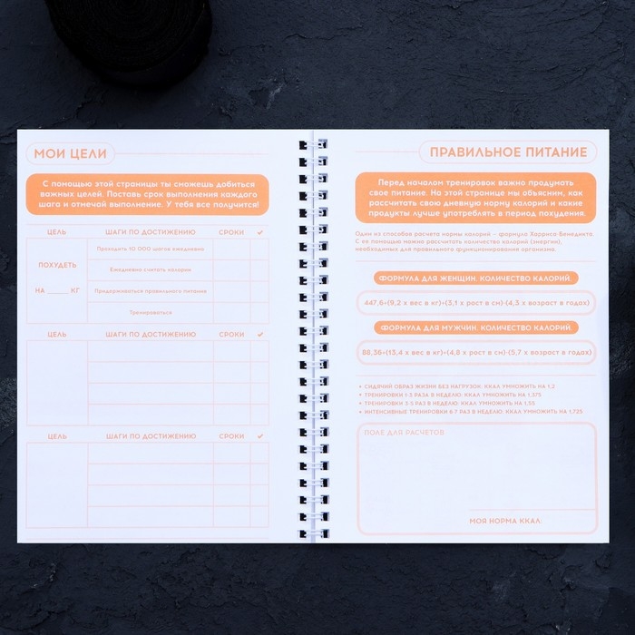 Дневник тренировок &laquo;Собственный челендж&raquo; на пружине, 25 листов