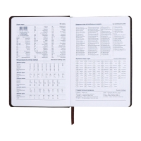 Ежедневник недатированный, А5, 140л, клетка, обл.кожзам, Зеленый Ежедневник недатированный, А5, 140л, клетка, обл.кожзам, Зеленый