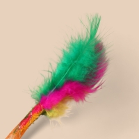 Дразнилка "Волнушки", 50 см, микс цветов Дразнилка "Волнушки", 50 см, микс цветов