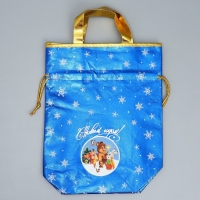 Пакет-мешок из нетканного материала &laquo;Новогодняя компания&raquo;, 25 х 32 см, Новый год