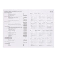 Ежедневник датированный 2024 года, А5, 176 листов, Attomex.Regent, обложка бумвинил, ляссе, блок 70 г/м2, коричневый