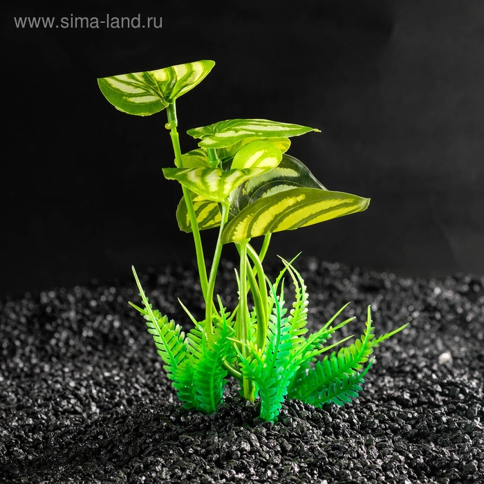Растение искусственное аквариумное, 10,5 х 10,5 х 14 см