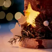 Светодиодная фигура деревянная &laquo;Декоративный пень&raquo;, 1 LED, от батареек AAAx2, свечение тёплое белое