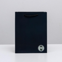 Пакет подарочный ламинированный вертикальный, упаковка, «Ты лучший», MS 18 х 23 х 10 см Пакет подарочный ламинированный вертикальный, упаковка, «Ты лучший», MS 18 х 23 х 10 см