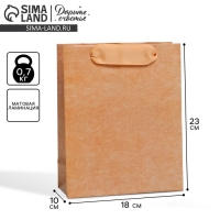 Пакет подарочный ламинированный, упаковка, &laquo;Крафтовый&raquo;, MS 18 х 23 х 10 см