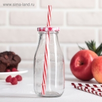 Бутыль стеклянная с крышкой и трубочкой «Лаконичность», 300 мл, 6,5×15,5 см, цвет МИКС Бутыль стеклянная с крышкой и трубочкой «Лаконичность», 300 мл, 6,5×15,5 см, цвет МИКС