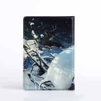 Обложка для паспорта, цвет серый