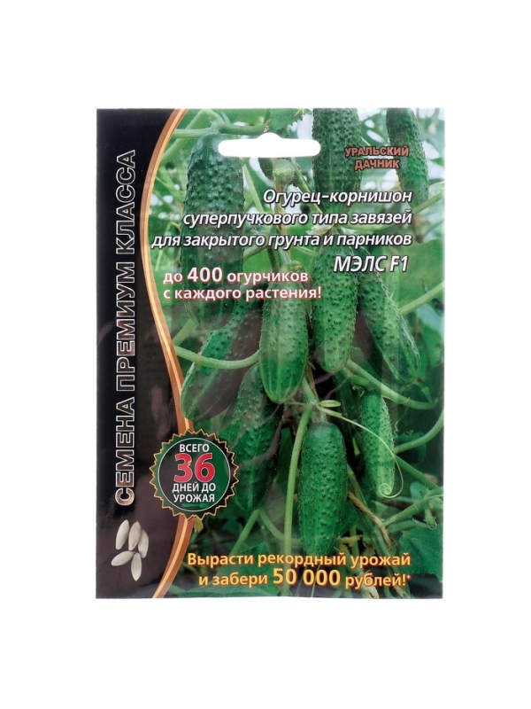 Семена Огурец "Мэлс" F1 ультраранний 36 дней, корнишон, партенокарпический, 5 шт
