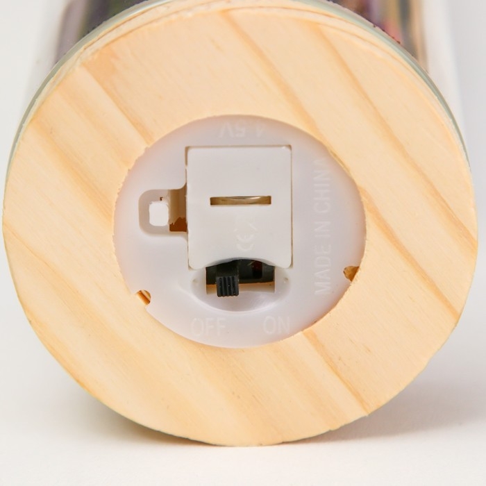 Ночник колба "Букет из красных цветов" LED от батареек LR1130 6,5х6,5х19 см RISALUX