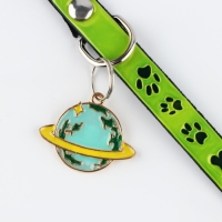 Ошейник светоотражающий &laquo;Лапки&raquo; с подвесом, 30 х 1 см, цвет зелёный