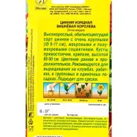 Семена цветов Цинния Вишневая королева , Ц/П,0,3 г