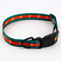 Ошейник &laquo;На стиле&raquo;, застёжка - фастекс, 2.5 см, 40-55 см