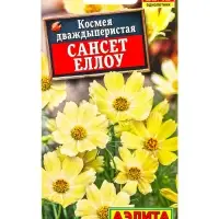 Семена цветов Космея Сансет еллоу , Ц/П,0,3 г