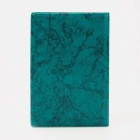 Обложка для автодокументов, цвет зелёный