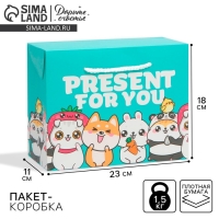 Пакет&mdash;коробка, подарочная упаковка, &laquo;Present&raquo;, 23 х 18 х 11 см