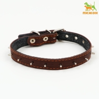 Ошейник кожаный на синтепоне, с шипами, 2 х 40 см, ОШ 25-35 см,тёмно-коричневый Ошейник кожаный на синтепоне, с шипами, 2 х 40 см, ОШ 25-35 см,тёмно-коричневый