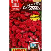 Семена цветов Астра Пиноккио малиновая  Цветущий балкон, Ц/П,0,05 г