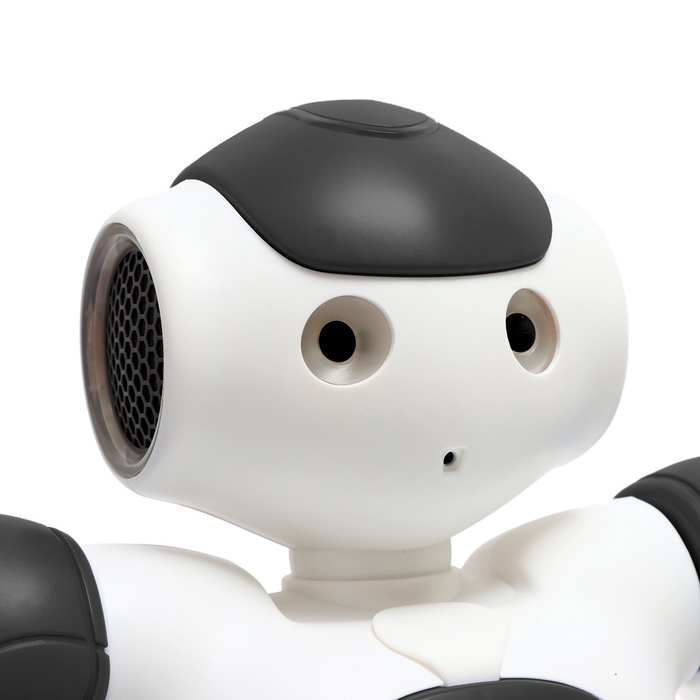 Робот радиоуправляемый &laquo;Хантер&raquo;, световые и звуковые эффекты, работает от аккумулятора, цвет чёрный