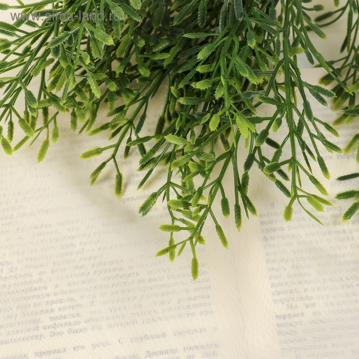 Букет Букет "Адиантум" 35 см