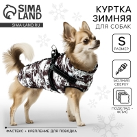 Одежда для собак. Куртка зимняя &laquo;Тёплая зима&raquo;, камуфляж, размер S