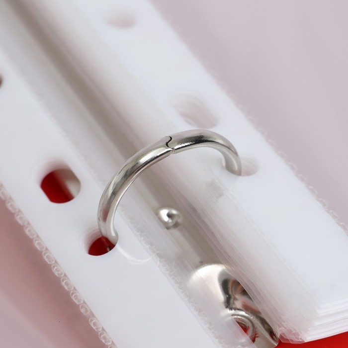 Папка-портфолио А4, Calligrata Папка-портфолио А4, Calligrata "Веселая школа", пластиковая, на 4 кольцах, для школьника, 20 файлов