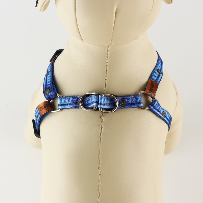 Комплект &laquo;Любимчик&raquo;, шлейка 24-36 см, поводок 120х1 см