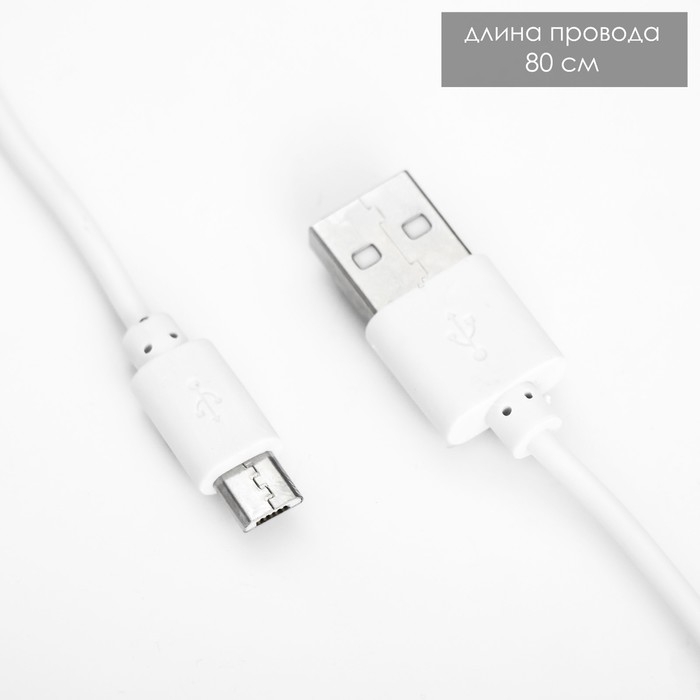 Настольная лампа сенсорная  "Алнес" LED 5Вт USB АКБ МИКС 12х9х44 см RISALUX