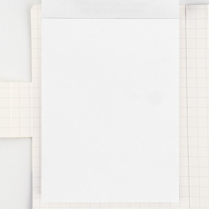 Подарочный набор в открытке: отрывной блок с заданиями и карандаши «Енот» Подарочный набор в открытке: отрывной блок с заданиями и карандаши «Енот»