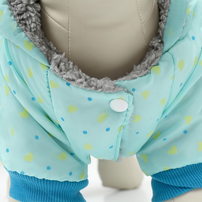 Комбинезон Комбинезон "нежный путь" на меховом подкладе, размер XXL (ДС 45, ОШ 45, ОГ 55 см), голубой