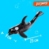 Фигурка животного &laquo;Морской житель&raquo;, цвет МИКС