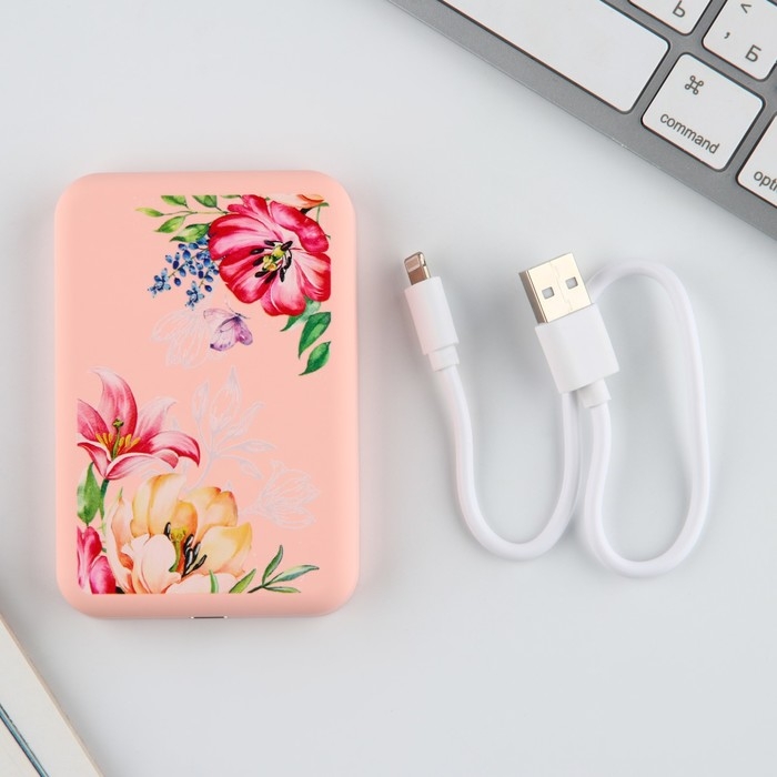 Зарядное устройство &laquo;Цветы&raquo;, 5000мА