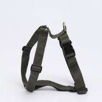 Шлейка большая сложная Зооник, ОШ 48-90 см, ОГ 56-90, ширина 3 см микс цветов Шлейка большая сложная Зооник, ОШ 48-90 см, ОГ 56-90, ширина 3 см микс цветов