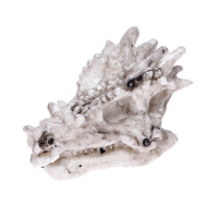 Игровой набор «Эпоха динозавров», 2 артефакта, с эпоксидной смолой Игровой набор «Эпоха динозавров», 2 артефакта, с эпоксидной смолой