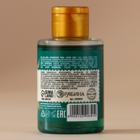 Гель для душа, 100 мл, аромат зимних пряностей, Новый Год Гель для душа, 100 мл, аромат зимних пряностей, Новый Год