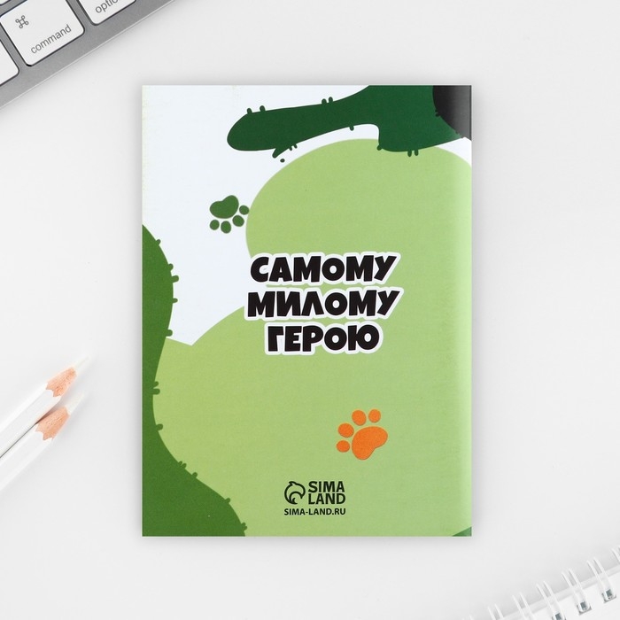 Подарочный набор 6 предметов &laquo;23 февраля: Юному герою&raquo;