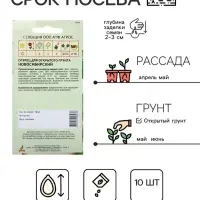 Семена Огурец"Новосибирский"10шт* Селекция Агрос
