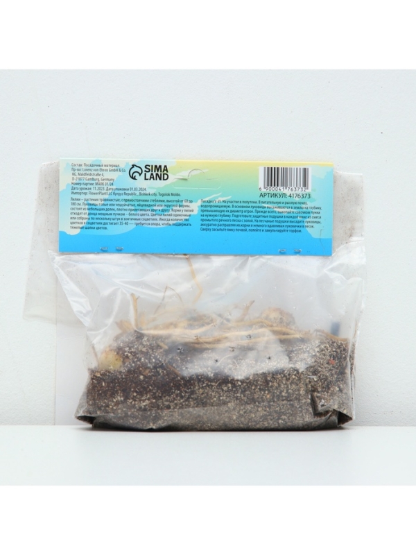 Лилия Азиатская &laquo;Навона&raquo;, луковица в пакете с перфорацией, р-р 12/14, 3 шт.