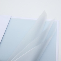 Папка для документов Documents, 8 файлов А4, Принцессы