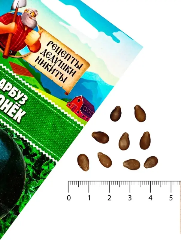 Семена Арбуз "Огонек", 0,5 г