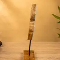 Сувенир "Черепаха" 6х20х30 см, дерево