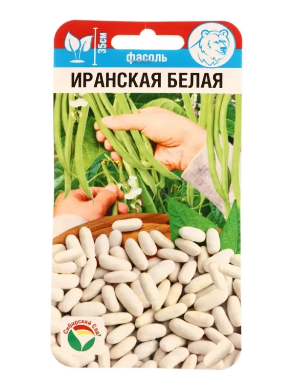 Семена Фасоль Иранская белая 5г
