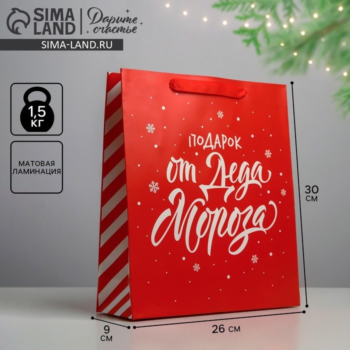 Пакет подарочный новогодний ламинированный &laquo;Подарок от Деда Мороза&raquo;, M 26 х 30 х 9 см