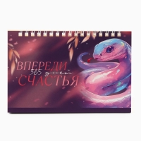 Календарь 2025 настольный с отрывными листами &laquo;Новый год: 365 дней счастья&raquo;, 16,9 х 14 см