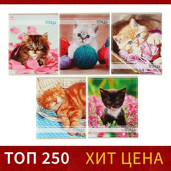 Тетрадь 36 листов в клетку Calligrata &laquo;Котята&raquo;, обложка мелованный картон, МИКС