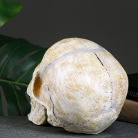 Копилка "Череп" кость, 16х13х22см