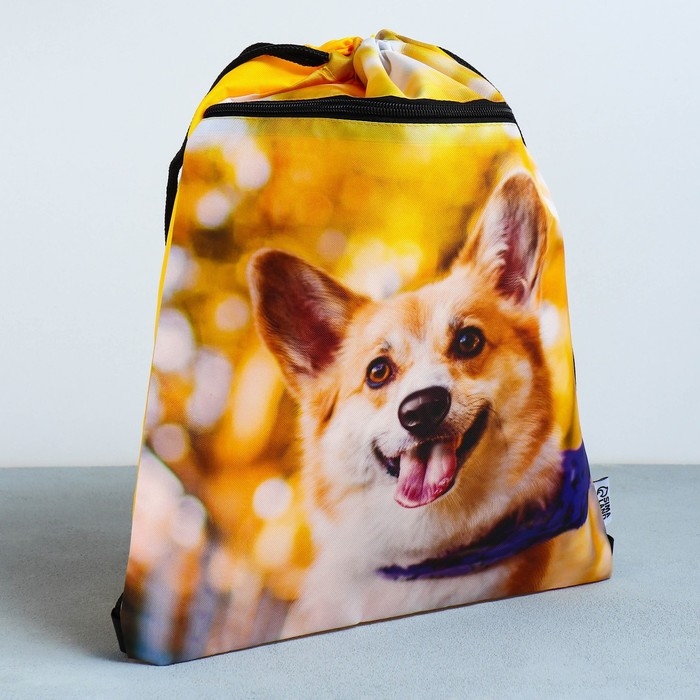 Мешок для обуви &laquo;Забавный корги&raquo; 2 секции, 30&times;40 см