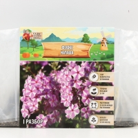 Флокс &laquo;Наташа&raquo; корневище в пакете с торфогрунтом, р-р I, 2 шт.