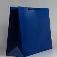 Пакет ламинированный горизонтальный "Синий", XXL  61 х 46 х 20 см